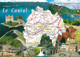 15 LE CANTAL CARTE GEOGRAPHIQUE  - Other & Unclassified