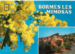 83 BORMES LES MIMOSAS - Bormes-les-Mimosas