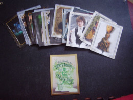 Lot Chromos Images Vignettes Cartes Panini *** Harry Potter Wizarding  World *** - Album & Cataloghi