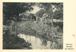 BELLES IMAGES DE FRANCE N°12 - Sonstige & Ohne Zuordnung