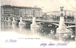 CPA Carte Postale Suisse Genève Les Mouettes De Genève 1903VM81375 - Genève