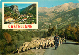 04 CASTELLANE - Castellane