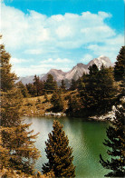 04 LAC VERT DU COL BAS - Autres & Non Classés