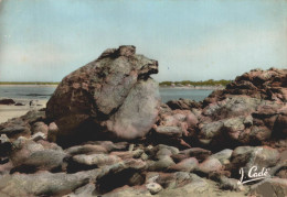 44 SAINT-BREVIN AU POINTEAU ROCHERS DE L'OURS - Saint-Brevin-l'Océan