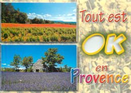 PROVENCE CHAMP DE LAVANDES ET OLIVIERS - Provence-Alpes-Côte D'Azur