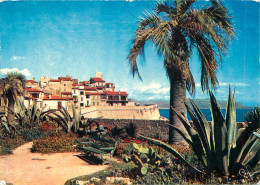 06 ANTIBES - Antibes - Oude Stad