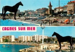 06 CAGNES SUR MER  - Cagnes-sur-Mer