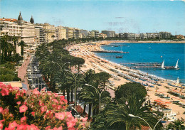 06 CANNES - Cannes