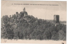 Environs De LIMOGES Les Ruines De Chalucet Et La Tour Jeannette - Sonstige & Ohne Zuordnung