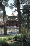 CHINA - Hong Kong - The Imperial Garden In The Former Imperial Palace - 13 Juin 95 - Carte Postale - Chine (Hong Kong)