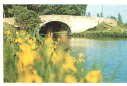 11 LE CANAL DU MIDI - Sonstige & Ohne Zuordnung