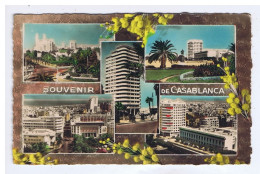 MAROC - CASABLANCA En 5 Vues + Mimosas - Edit. " La Cigogne " - N° 95.101.70 - Casablanca