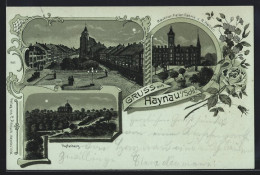 Lithographie Haynau I. Schl., Hopfenberg, Raubtier-Fallen Fabrik, Ring  - Schlesien