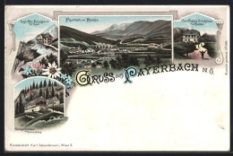 Lithographie Payerbach, Ortsansicht Mit Raxalpe, Carl Ludwig Schutzhaus, Gasthof Baumgartnerhaus Am Schneeberg  - Andere & Zonder Classificatie