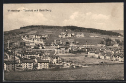 AK Winterthur, Tössfeld Mit Brühlberg  - Other & Unclassified