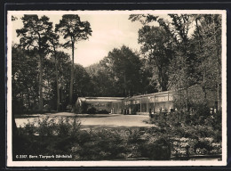 AK Bern, Ansicht Im Tierpark Dählhölzli  - Bern