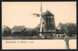 AK Gohlis, Windmühle An Der Elbe  - Other & Unclassified