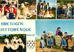 29 BRETAGNE FOLKLORE - Other & Unclassified