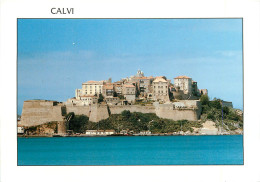 20 CALVI - Calvi