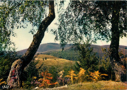 19 LE MASSIF DES MONEDIERES - Autres & Non Classés