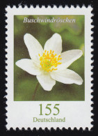 3472 Blume Buschwindröschen 155 Cent, Nassklebend, Postfrisch ** - Ongebruikt