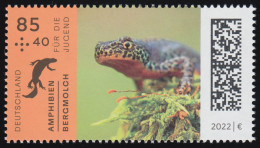 3706 Jugend Amphibien: Bergmolch, ** Postfrisch - Unused Stamps