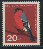 403 Jugend Einheimische Vögel 20+10 Pf Gimpel ** - Unused Stamps