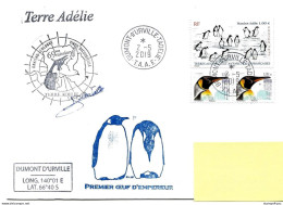 PO - 106 - Enveloppe TAAF Terre Adélie - Cachets Ornitho-eco - Premier Oeuf D'empereur 2.5.19. - Polar Flights