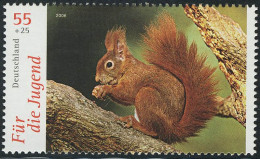 2540 Jugend Tiere 55+25 C Eichhörnchen: Set Zu 10 Stück, Alle ** Postfrisch - Briefe U. Dokumente