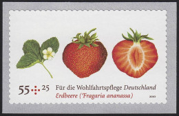 2777 Erdbeere Selbstklebend Aus Rolle: Set Zu 10 Briefmarken, Alle ** Postfrisch - Ungebraucht
