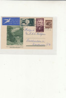 South Africa / Illustrated Stationery Postcards / Airmail / Holland / Leopards - Other & Unclassified