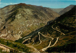 48 GORGES DU TARN  - Gorges Du Tarn