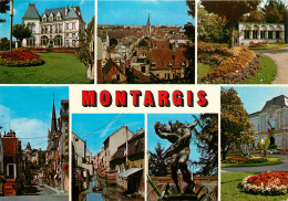45 MONTARGIS MULTIVUES - Montargis