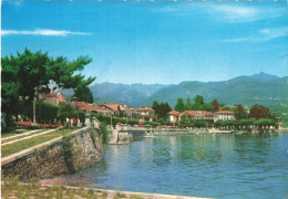 ITALIE - Baveno - Lago Maggiore - Colorisé - Carte Postale - Autres & Non Classés