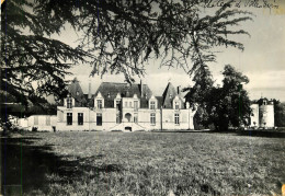 41 VILLESAVIN  LE CHÂTEAU  - Other & Unclassified