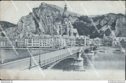 Ce257 Cartolina Dinant Panorama Belgio Belgium 1905 - Sonstige & Ohne Zuordnung