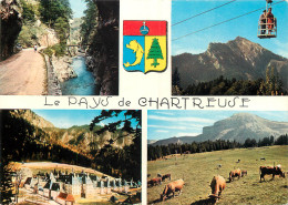 38 PAYS DE CHARTREUSE MUTIVUES BLASON TELE DE LA SCIA - Chartreuse