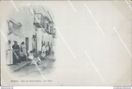 Ce274 Cartolina Biskra Rue Des Ouled Nails Algeria - Other & Unclassified