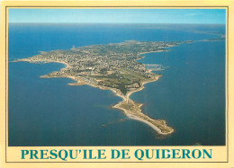 56 PRESQU'ILE DE QUIBERON  - Quiberon