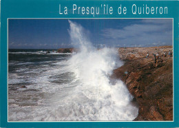 56 PRESQU'ILE DE QUIBERON  - Quiberon