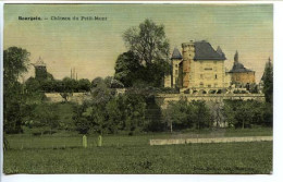 CPA 9 X 14 Isère BOURGOIN Chateau Du Petit-Mont       Carte "toilée" - Bourgoin
