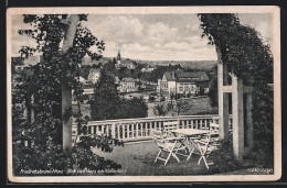 AK Friedrichsbrunn / Harz, Blick Vom Haus Am Klobenberg  - Other & Unclassified