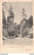 88 EPINAL RUINES DU CHATEAU - Epinal