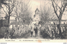 06 ILE SAINT HONORAT ALLEE OU ENTREE DU MONASTERE - Other & Unclassified