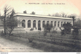 34 MONTPELLIER JARDIN DES PLANTES LA GRANDE SERRE - Montpellier