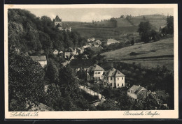 AK Liebstadt I. Sa., Pirnaische Strasse Mit Villen  - Pirna