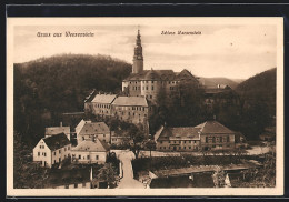 AK Weesenstein, Ortsansicht Mit Schloss Weesenstein  - Weesenstein A. D. Mueglitz