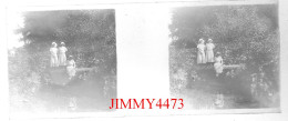 Trois Jolies Jeunes Filles Dans Un Bois, à Identifier - Plaque De Verre En Stéréo - Taille 44 X 107 Mlls - Glass Slides
