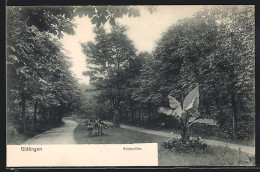 AK Göttingen, Kaiserallee  - Goettingen