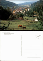 Heimbuchenthal (Spessart Unterfranken)   Blick V. Einer Pferde Koppel 1980 - Autres & Non Classés